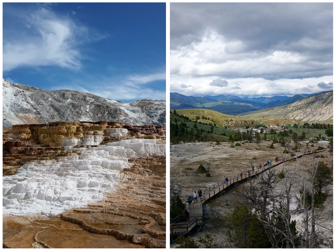 Mammoth Hot Springs