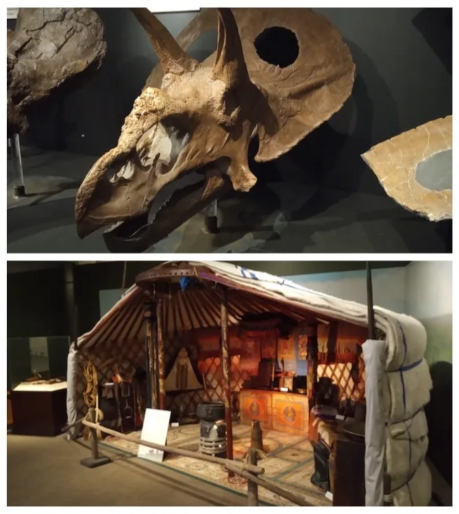 Museum of the Rockies